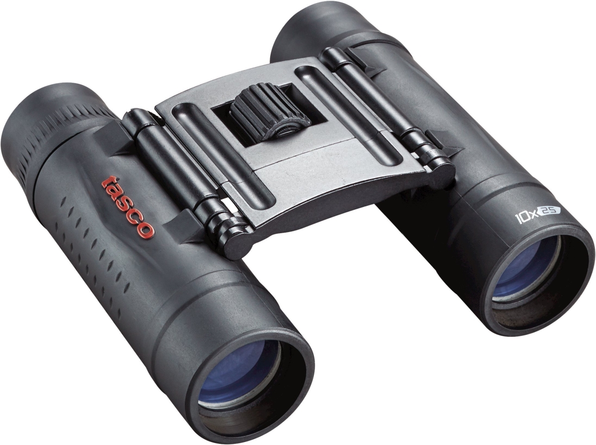 RA44046 Essentials 10 x 25 mm Roof-Prism Binoculars, Black