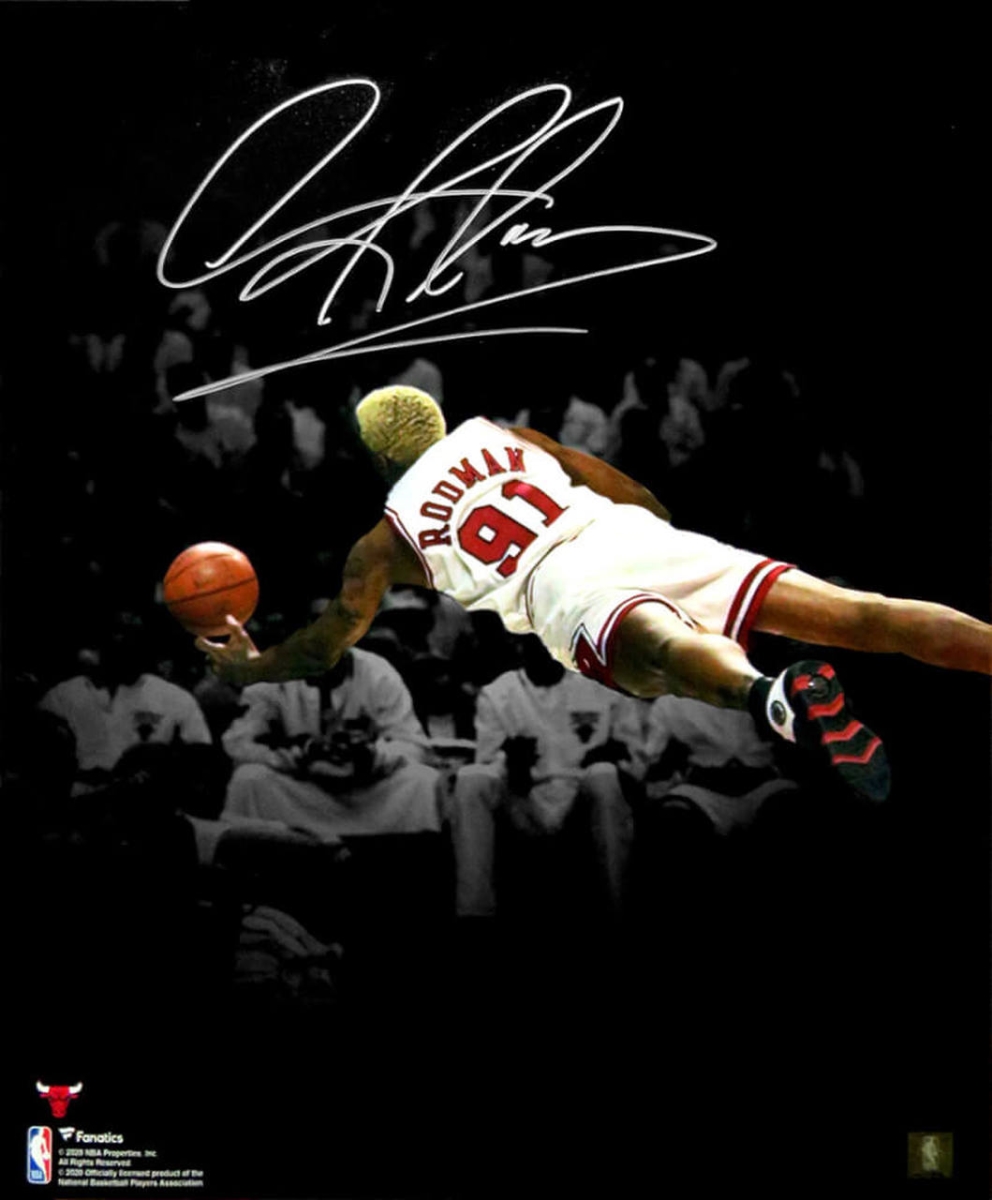 ROD16P228 16 x 20 in. NBA Chicago Bulls Dennis Rodman Signed Diving Spotlight Photo
