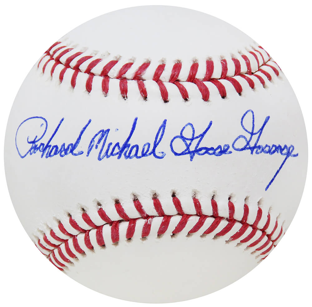GOSBSB103 Goose Gossage Full Name Signature Rawlings Official MLB Baseball
