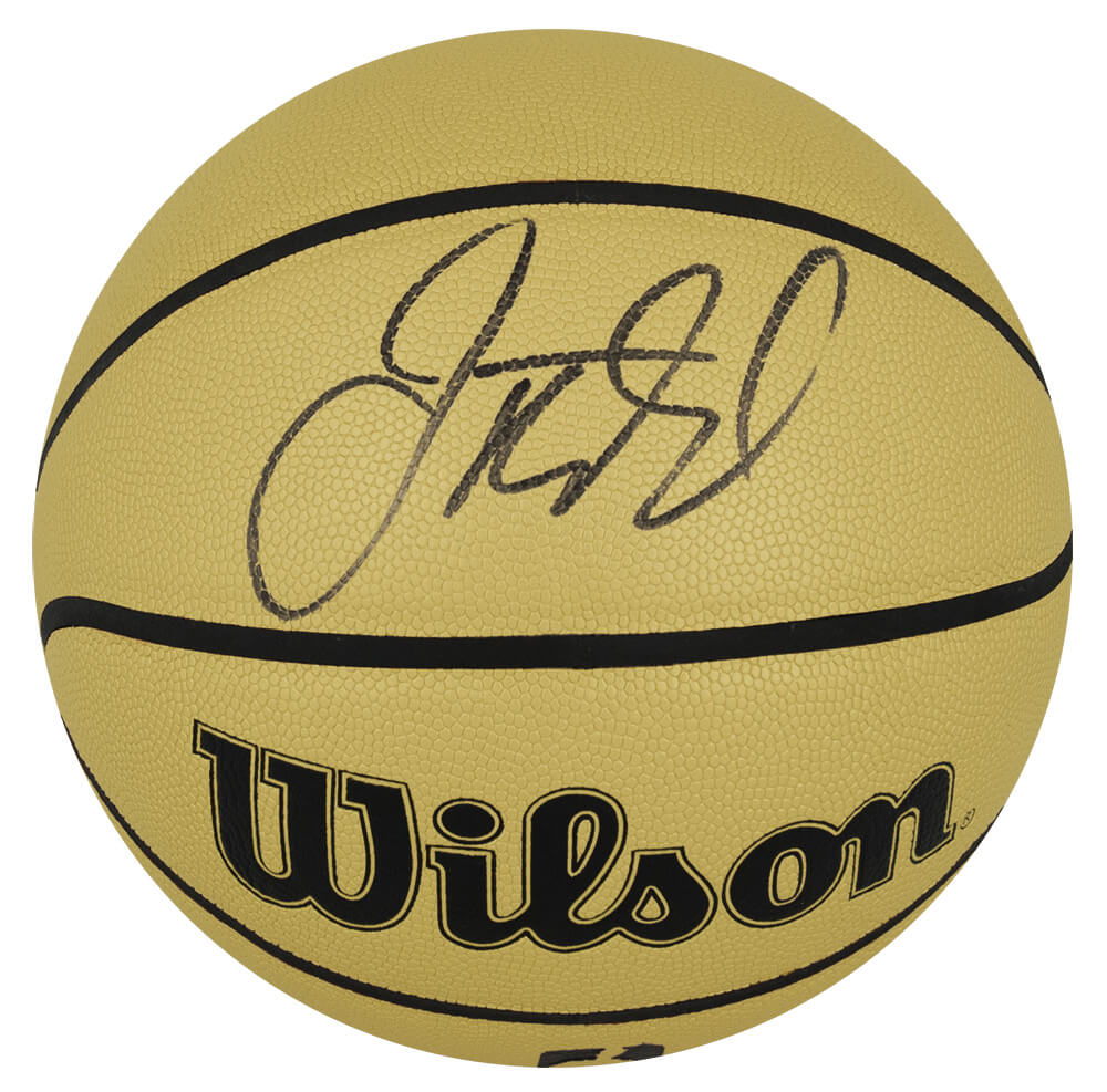 KIDBSK202 Jason Kidd Signed Wilson Gold NBA Full Size Basketball