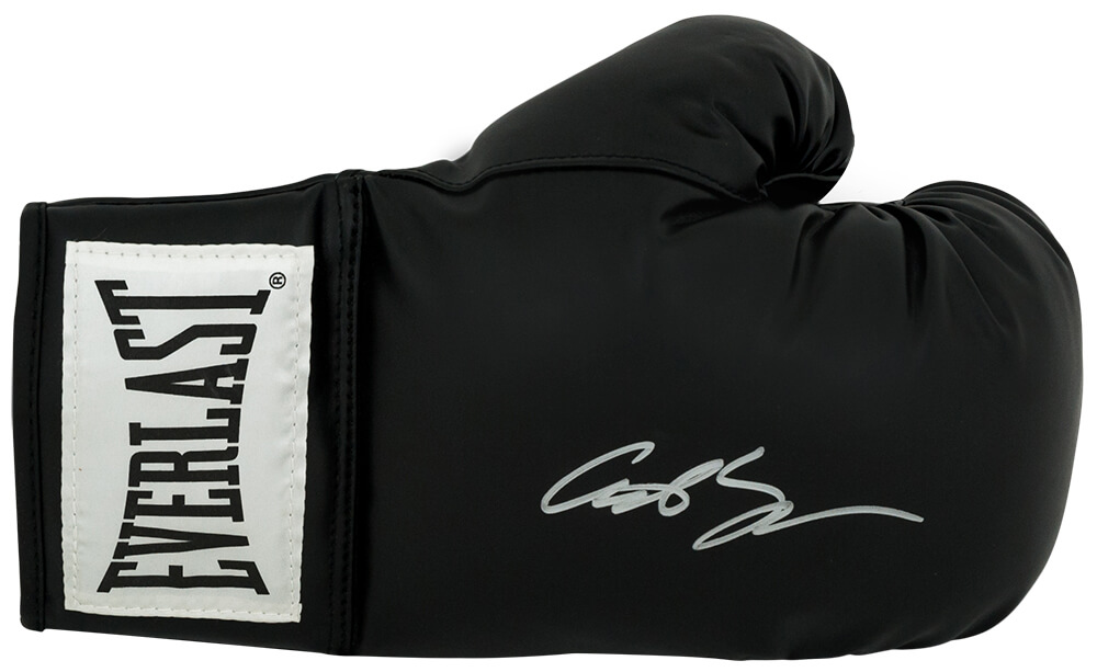 TARGLV503 Antonio Tarver Signed Everlast Black Boxing Glove