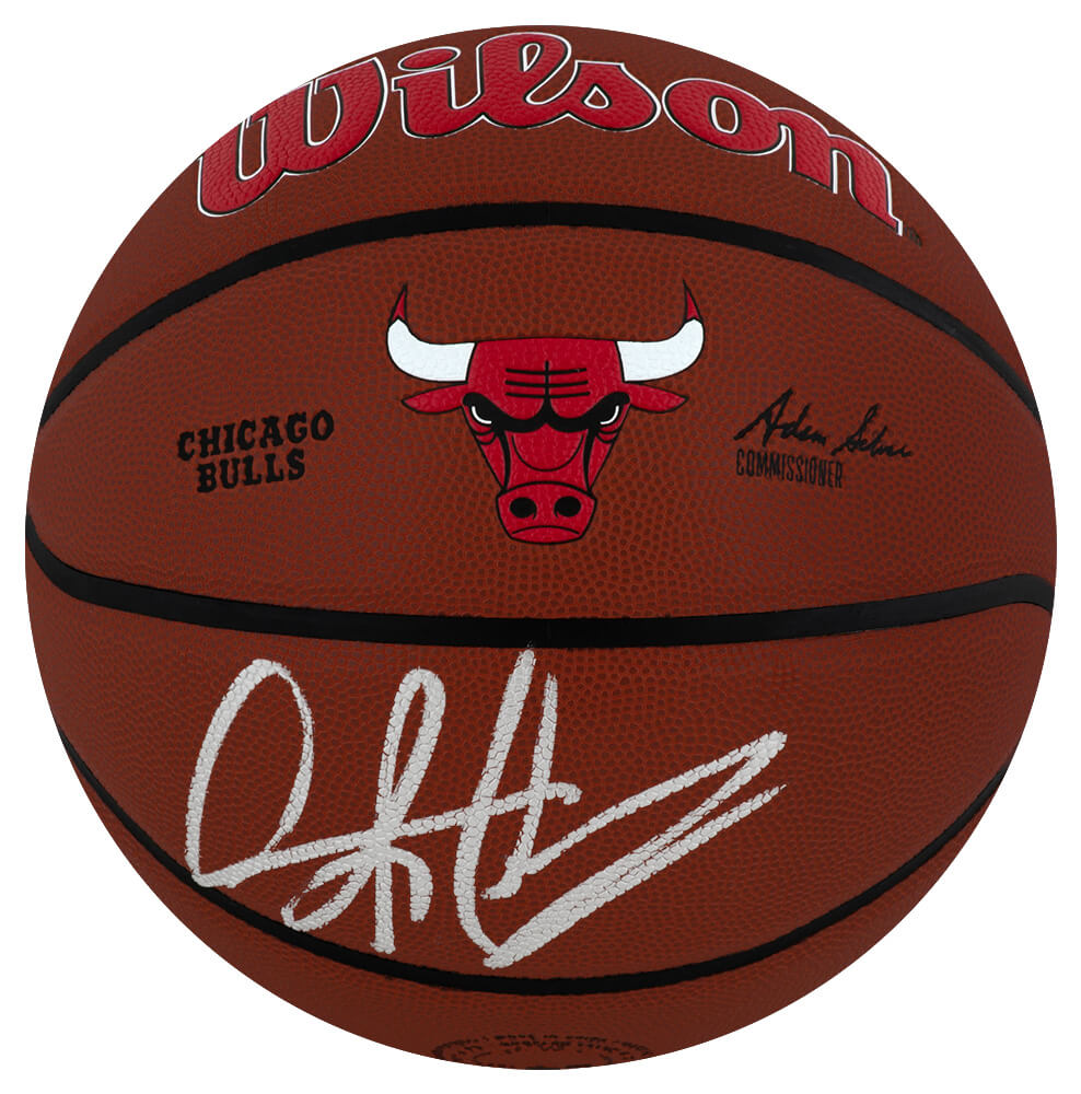 RODBSK236 Dennis Rodman Signed Chicago Bulls Logo Wilson Alliance NBA Basketball