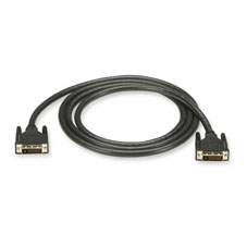 Picture of Black Box Network Services EVNDVI02-0010 10 ft. Digital Visual Interface Cable&#44; DVI-D Male
