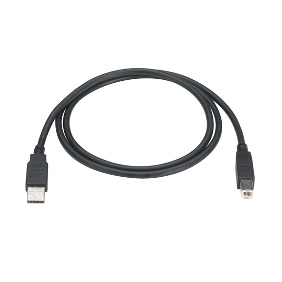 Type A-B Universal Serial Bus 2.0 Cable, 10 ft -  ServerUSA, SE924075