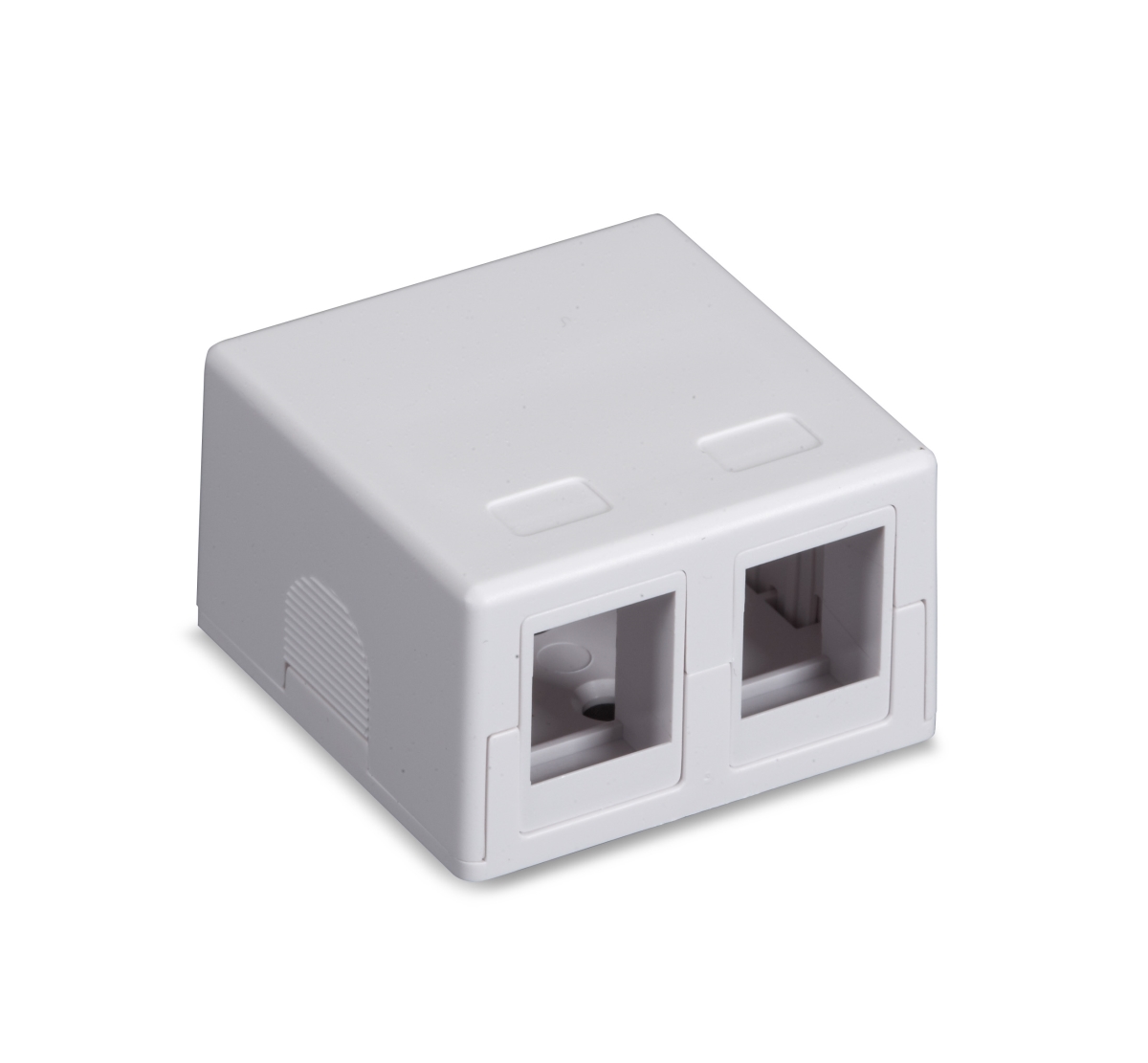 Picture of Black Box SMH-2 Connect RJ 45 Surface Mount Housing