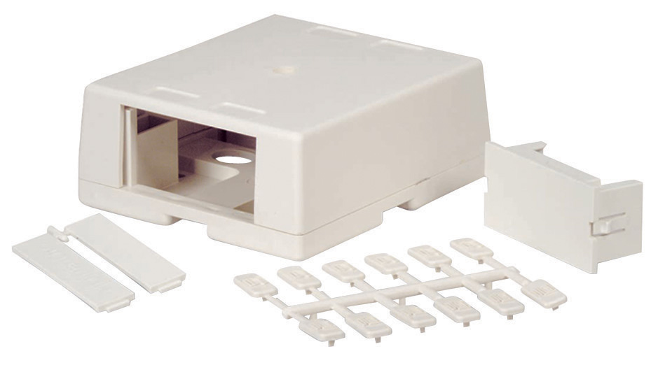 Picture of Black Box WP334 Double-Gang Surface-Housing Mount&#44; Ivory
