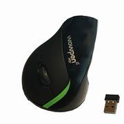 Wow Joy Black Wireless Ergonomic Mouse