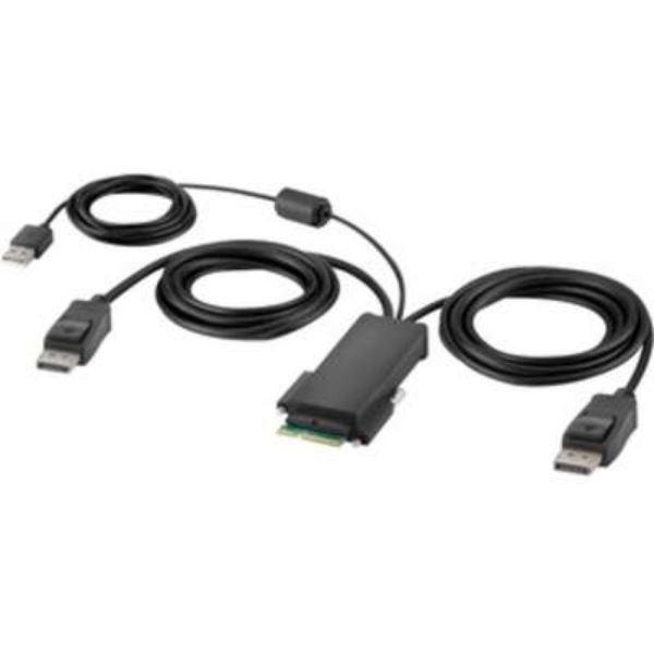 6 ft. Modular Dp Dual Head Host Cable