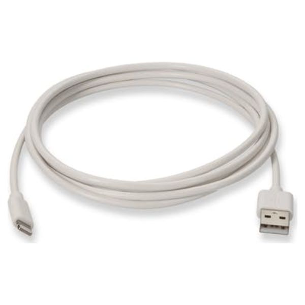 Picture of Add-On USB2LGT2MW 2 m USB 2.0 to Lightning Male to Male Cable