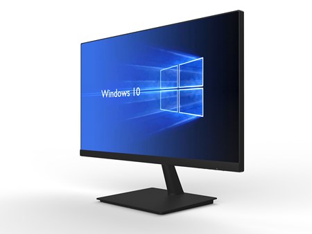 24 in Full HD IPS LCD Monitor  Black