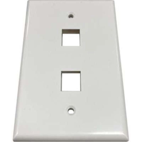 Tripp Lite N042AB-002-IVG Safe-It 2-Port Single-Gang Wall Plate