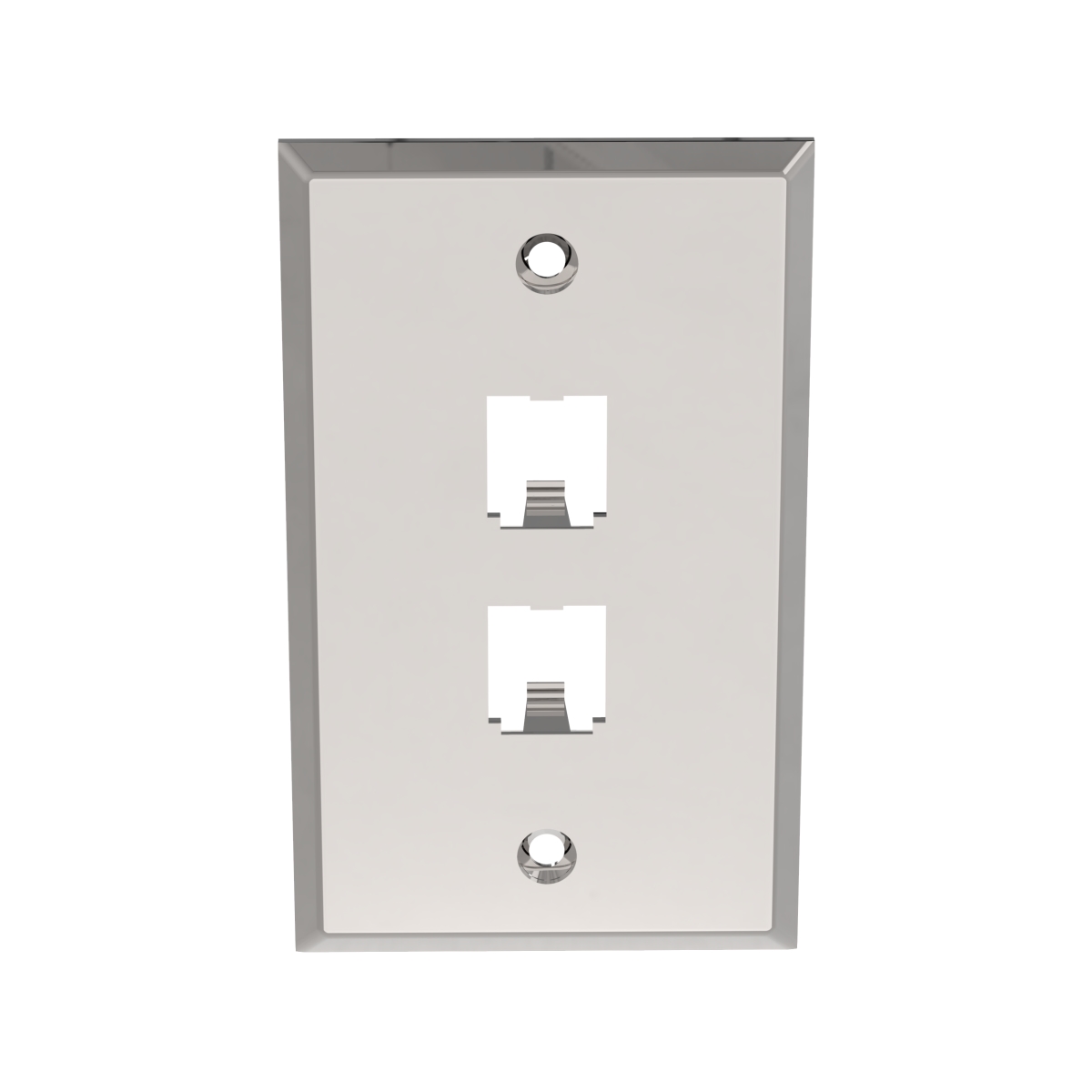 2-Port Stainless Steel Faceplate