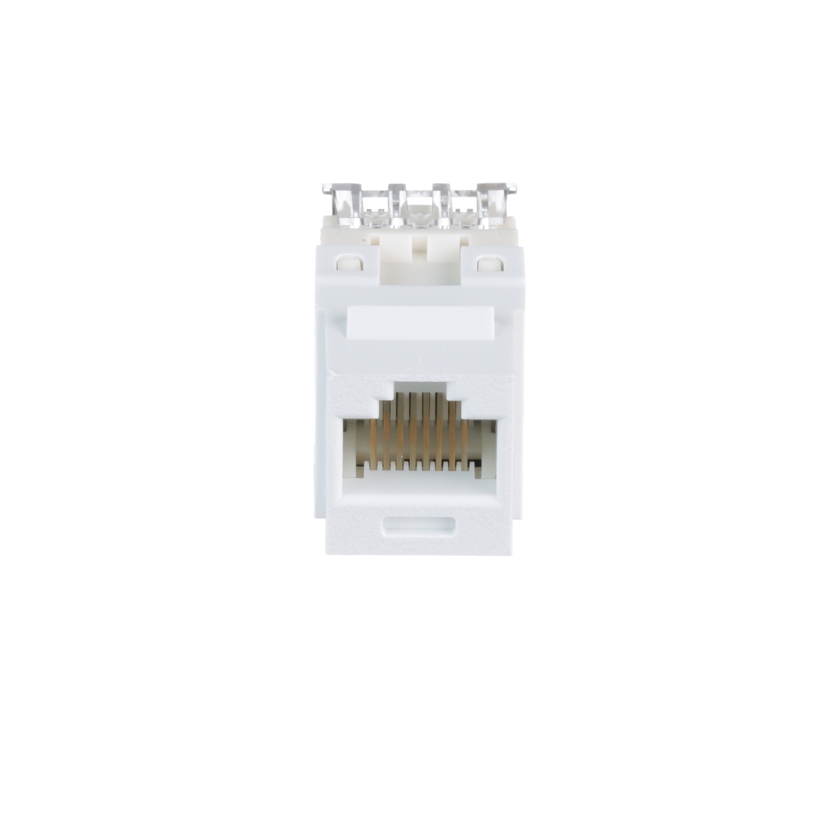 Nk Cat 6 Punchdown Jack Module, White
