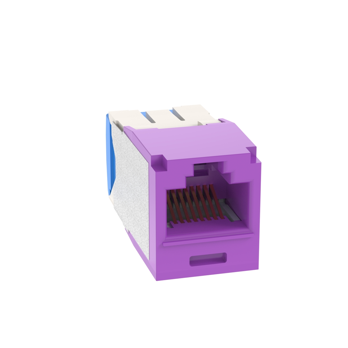 Cat6A UTP 8P 8W Univ Vl Jack Module
