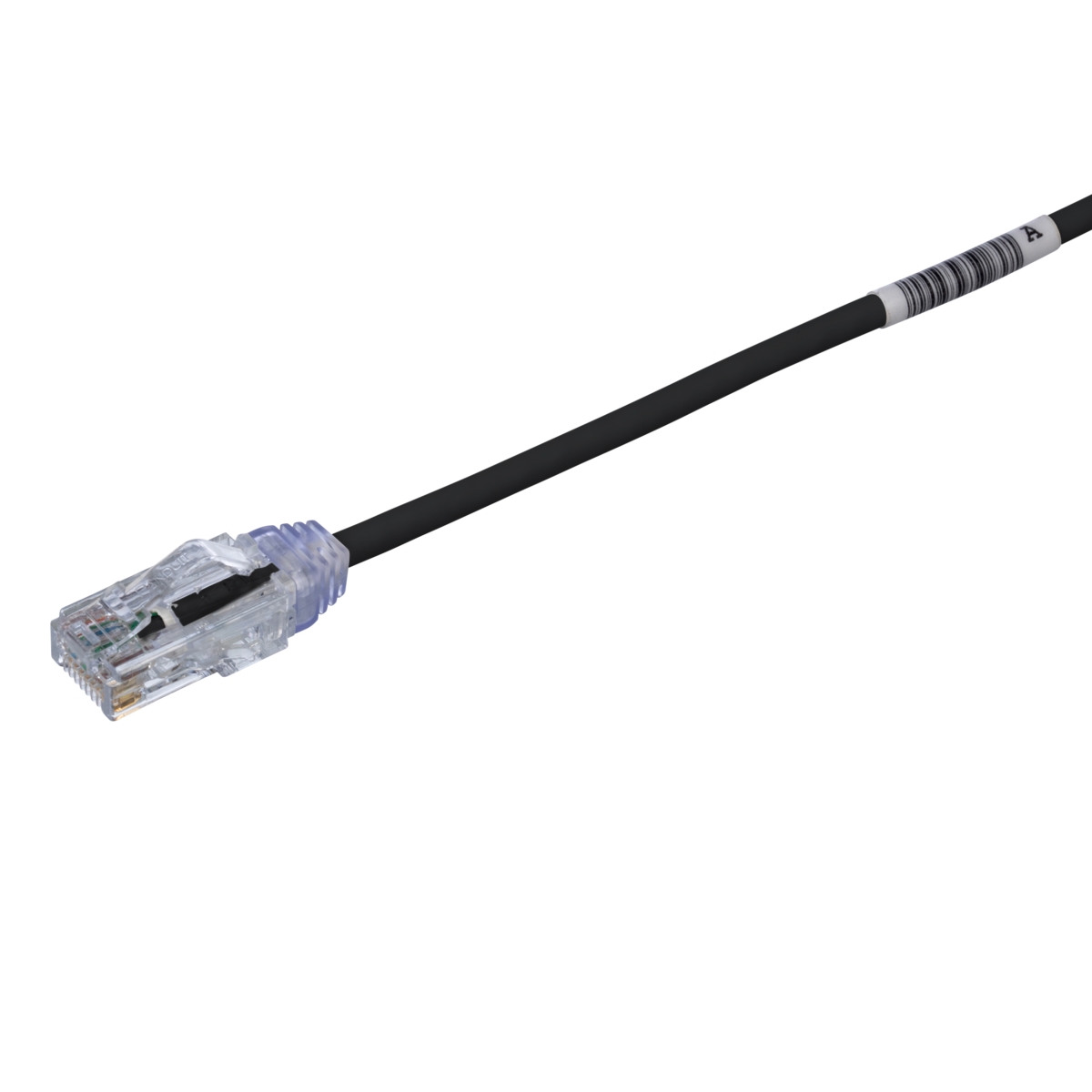 2 ft. Cat6 Black CM-LSZH UTP Copper Patch Cord