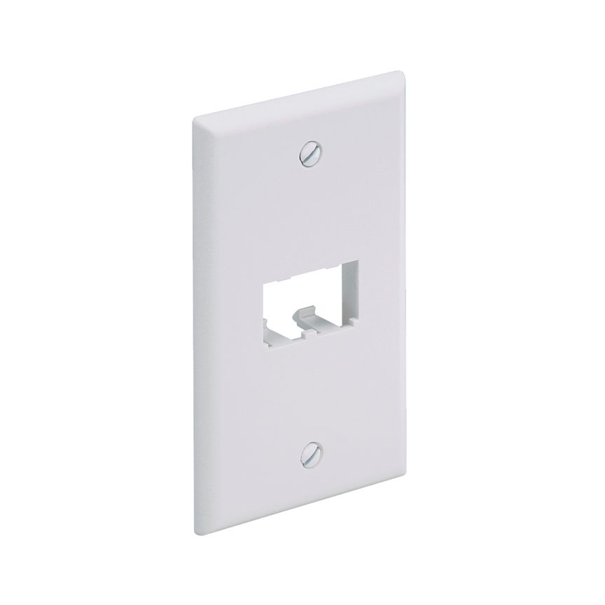 2-Port Classic White Faceplate