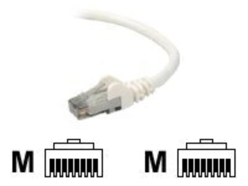 Picture of Belkin International A3L980-75-WHT-S 75 ft. Cat6 UTP RJ45 Male to Male Snagless Patch Cable&#44; White