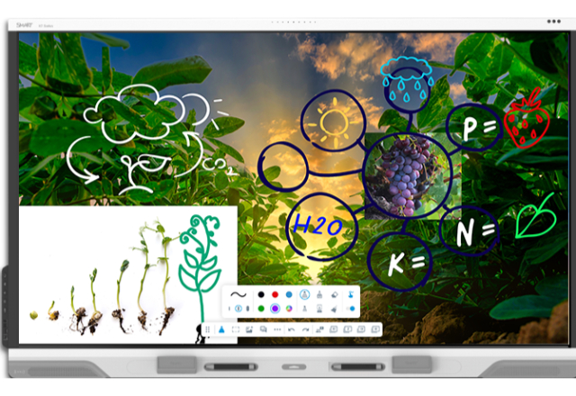 RX286 86 in. Smart Board RX Series Interactive Display with iQ - White