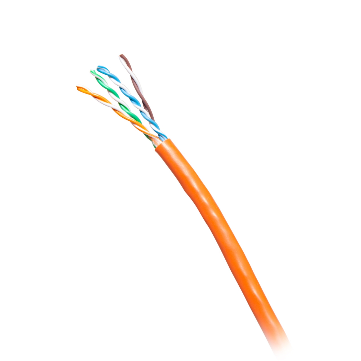 56038 CAT6 UTP Ethernet Network Cable - Orange