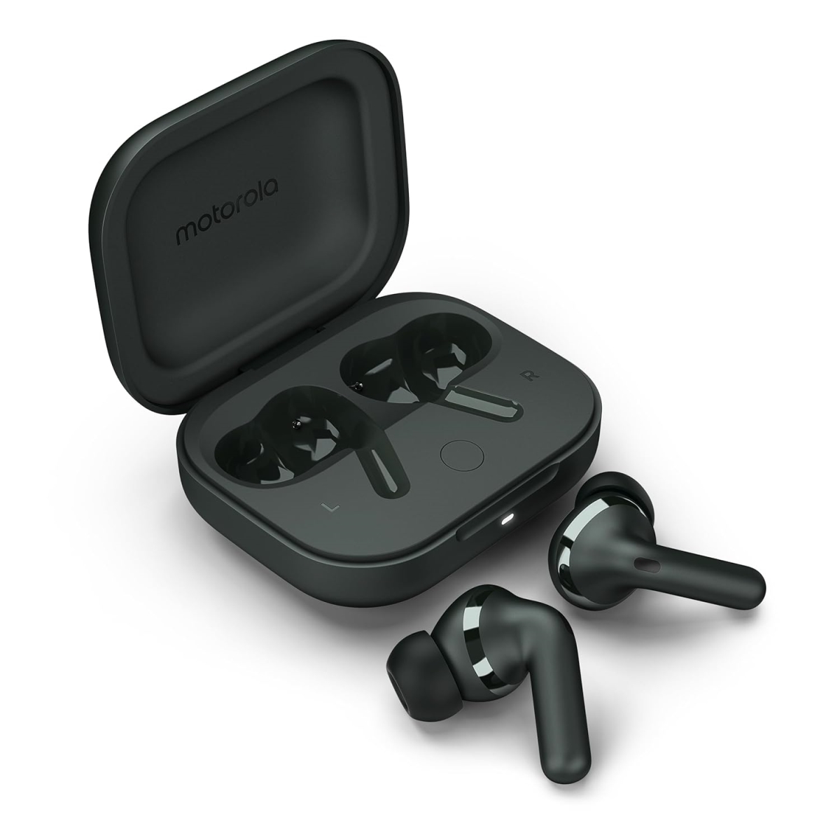 PG38C05764 Forest Gray Moto Buds