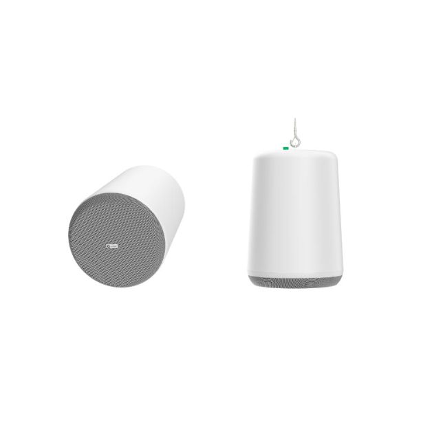 60-000115 8 in. PN-8P 2 Way Passive Pendant Speaker, White
