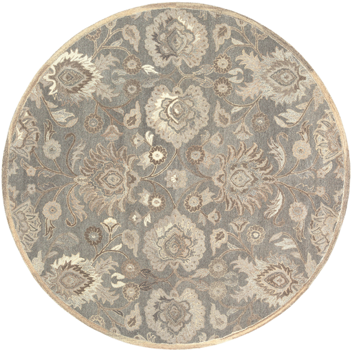 CAE1195-4RD 4 ft. Caesar Round Area Rug, Multi Color