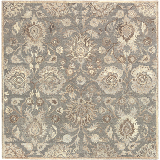 CAE1195-6SQ 6 ft. Caesar Square Area Rug, Multi Color
