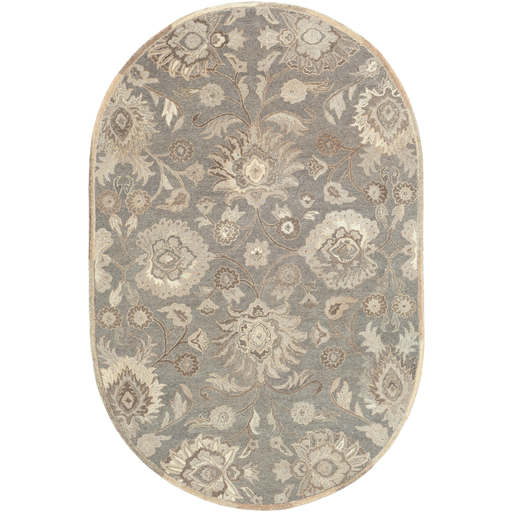 CAE1195-810OV 8 x 10 ft. Caesar Oval Area Rug, Multi Color