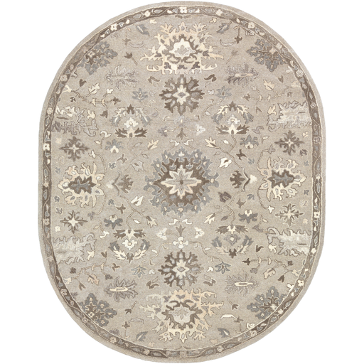 CAE1197-69OV 6 x 9 ft. Caesar Oval Area Rug, Taupe