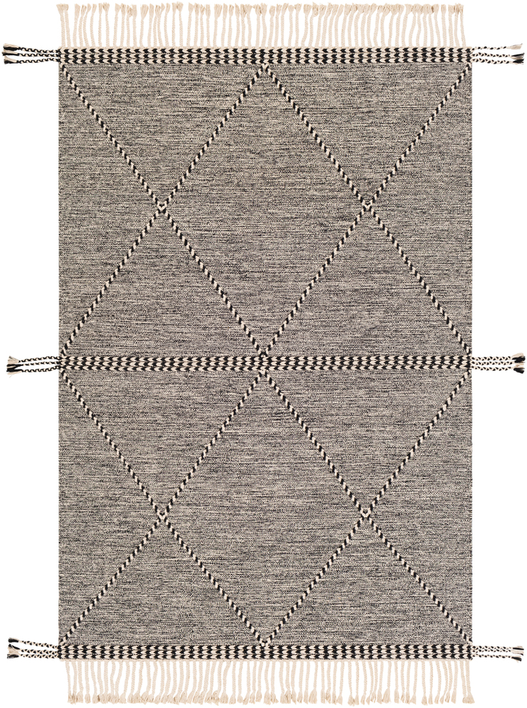 ZNF2301-23 2 x 3 ft. Zanafi Hand Woven Rug, Black & Cream