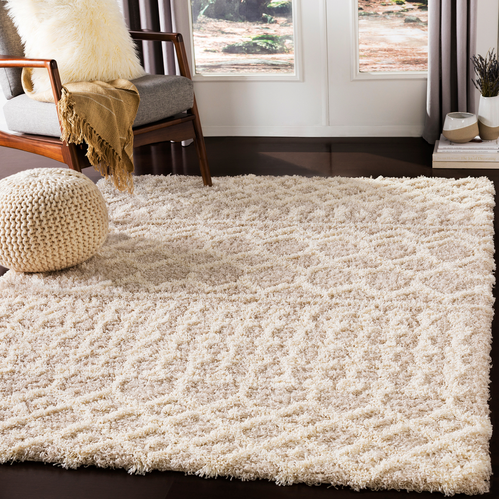 2 ft. 7 in. x 5 ft. Urban Shag Machine Woven Rug, Cream & Beige