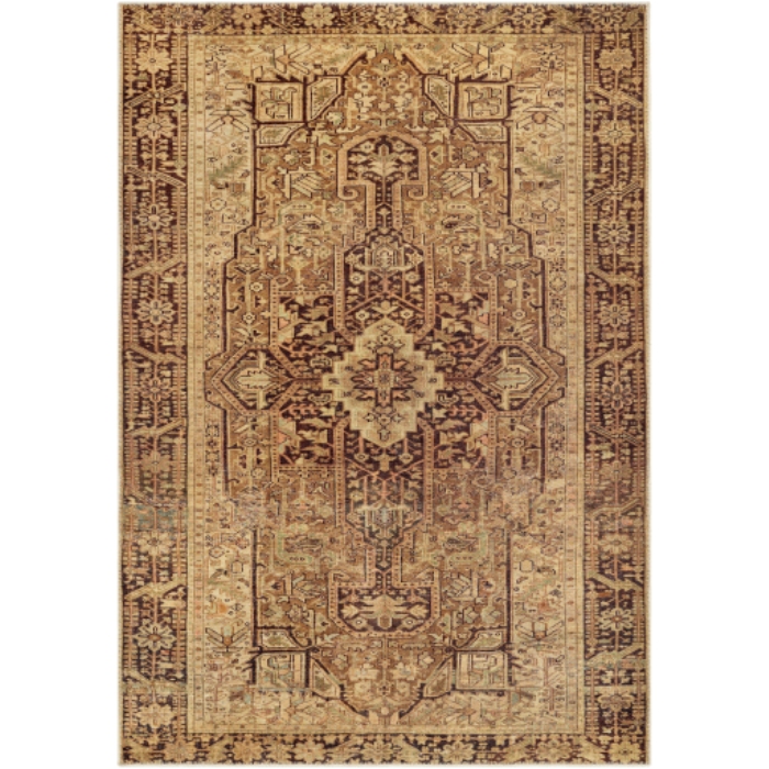 AML2348-679 6 ft. 7 in. x 9 ft. Amelie Machine Woven Rug, Multi Color
