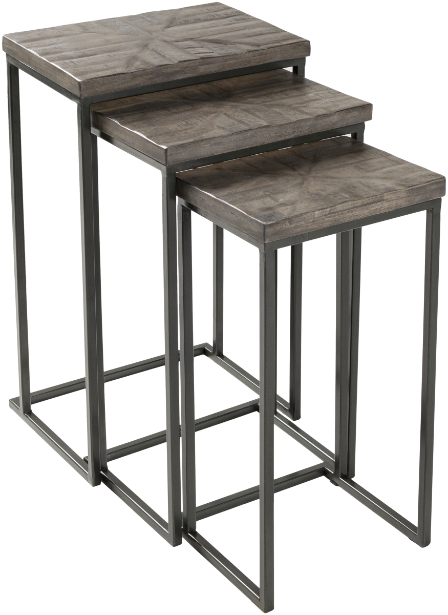 TOE001-SET 26 x 16 x 11 in. Troyes Nesting Table Set - Gray, Black