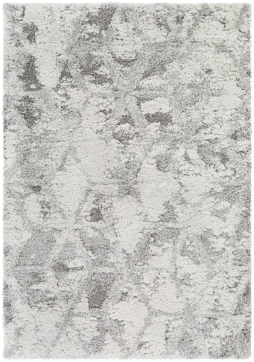 ASG2302-23 2 x 3 ft. Alta Shag ASG-2302 Rectangular Area Rug - Light Gray, White & Medium Gray