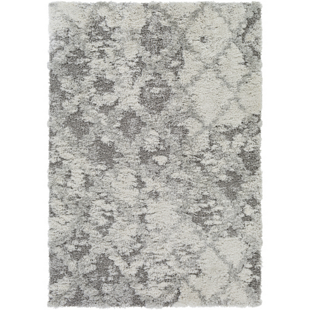 ASG2305-537 5 ft. 3 in. x 7 ft. Alta Machine Woven Shag Rectangle Rug - Multi Color