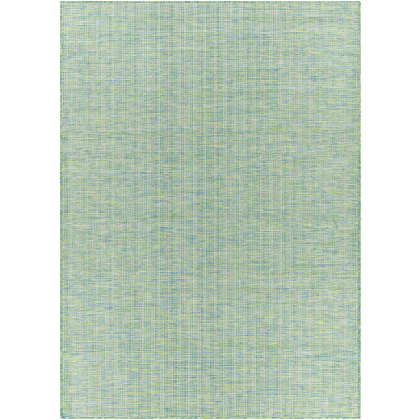 PSA2306-537 5 ft. 1 in. x 7 ft. Pasadena Machine Woven Rectangle Rug - Sky Blue & Grass Green