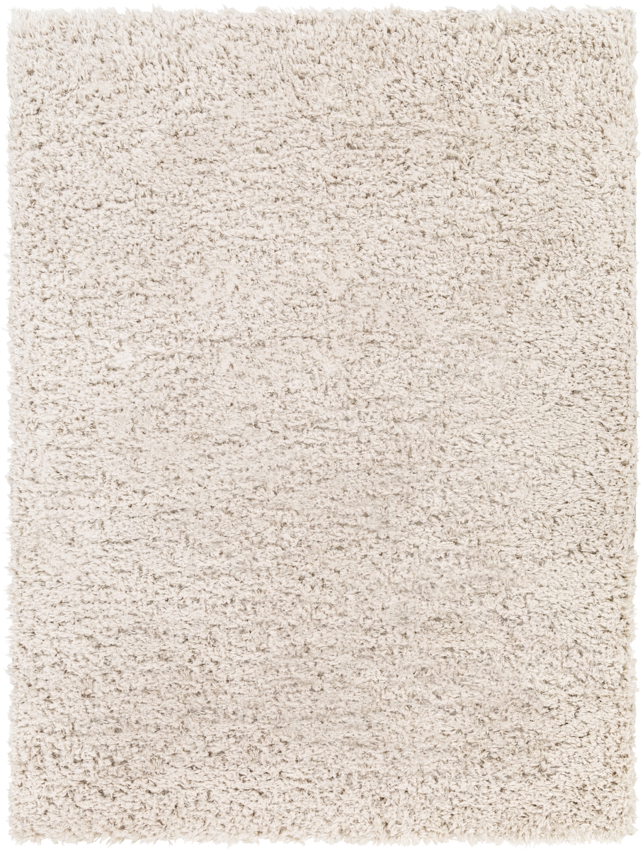 ANG2301-537 5 ft. 3 in. x 7 ft. Angora ANG-2301 Rectangular Area Rug