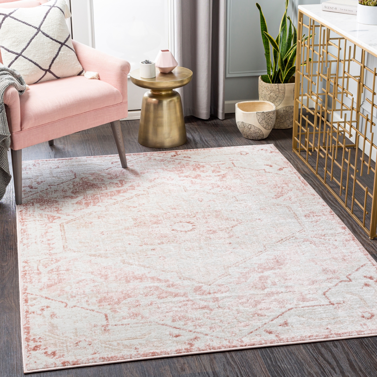 SRZ2315-53SQ 5 ft. 3 in. St Tropez Square Rug, Multi Color