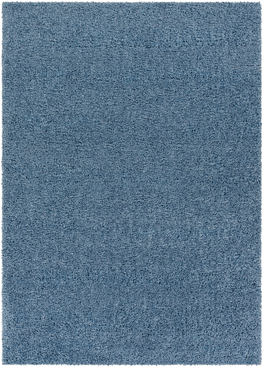 DXS2325-679 6 ft. 7 in. x 9 ft. Deluxe Shag Machine Woven Rectangle Rug