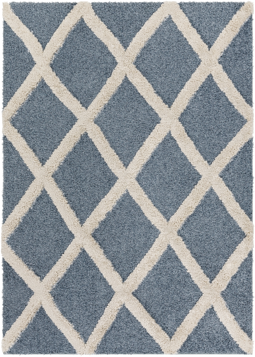 HDS2301-9212 9 ft. 2 in. x 12 ft. Hudson Shag Machine Woven Rectangle Rug