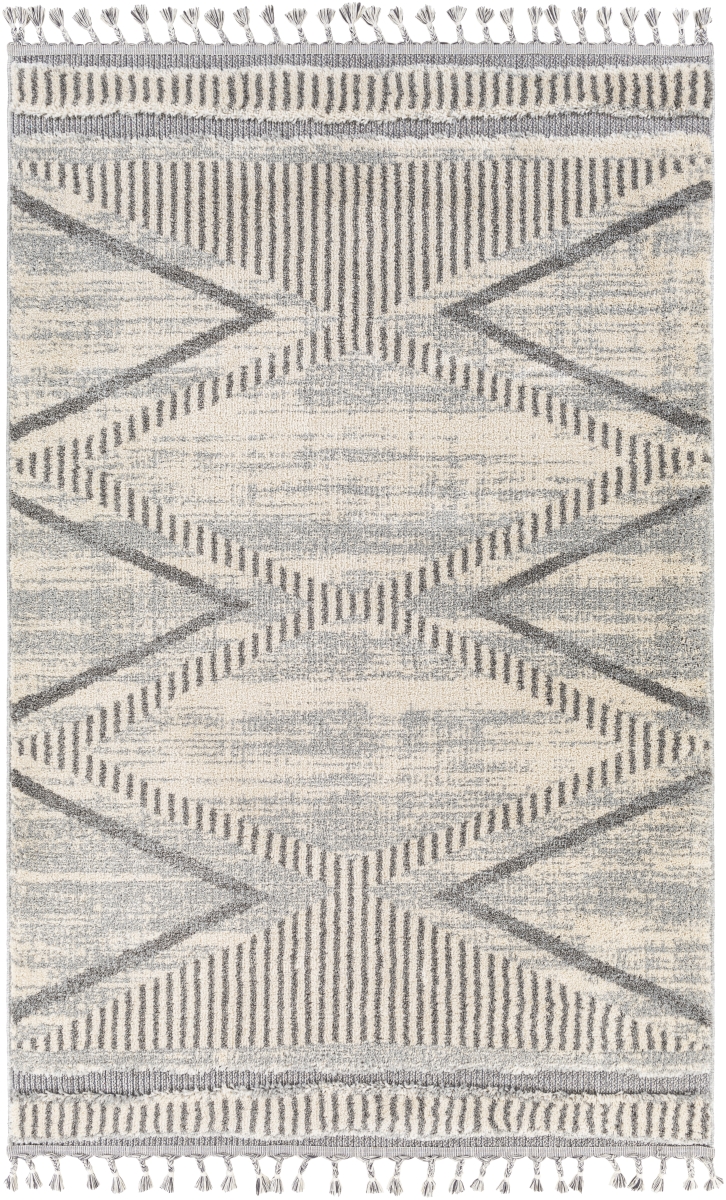 SUS2300-6109 6 ft. 10 in. x 9 ft. Sousse Machine Woven Rectangle Rug - Multi Color