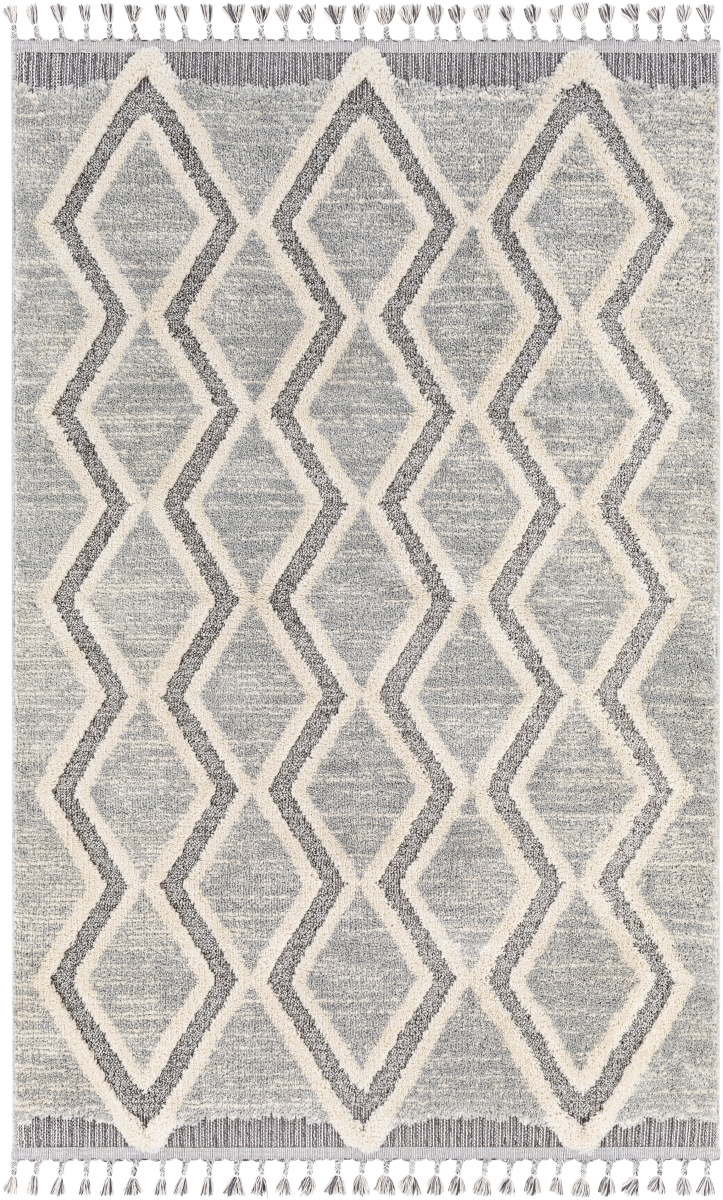 SUS2301-4257 4 ft. 2 in. x 5 ft. 7 in. Sousse Machine Woven Rectangle Rug - Multi Color