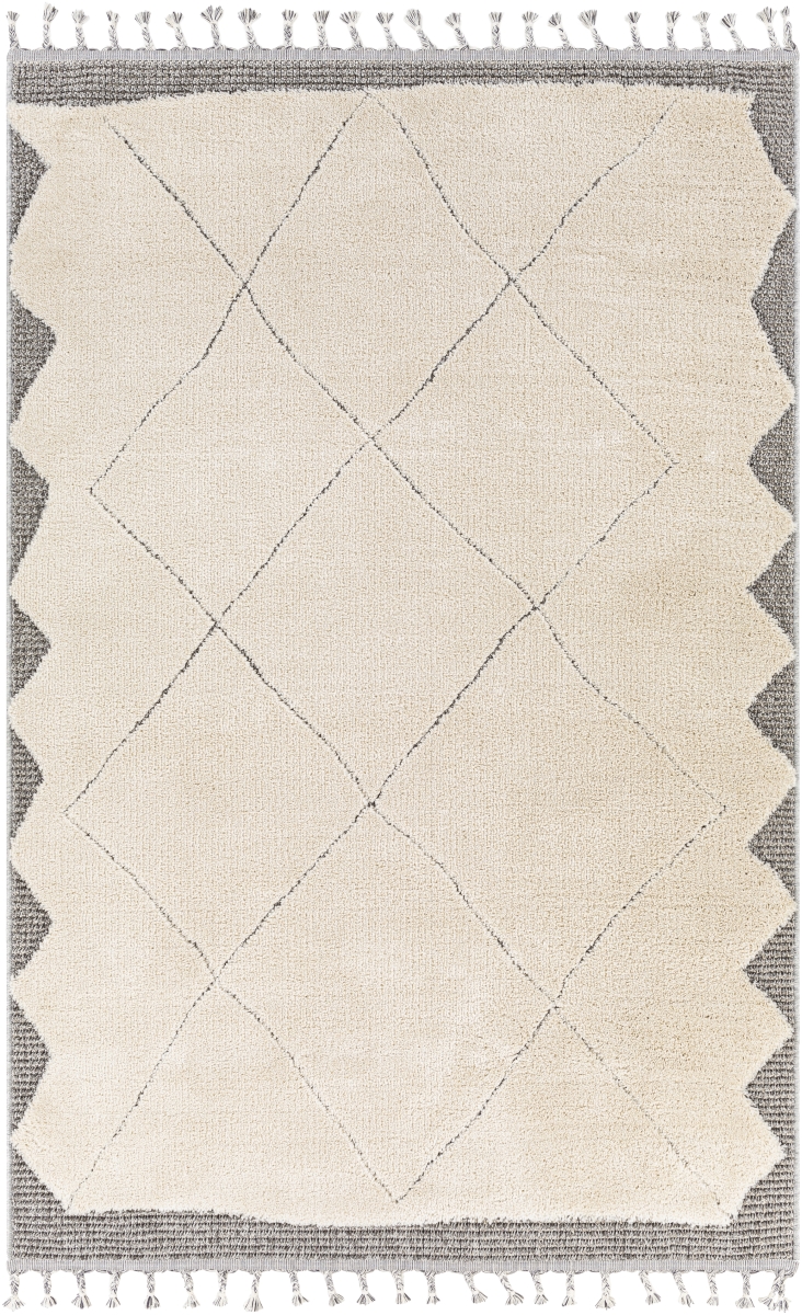SUS2304-4257 4 ft. 2 in. x 5 ft. 7 in. Sousse Machine Woven Rectangle Rug - Multi Color