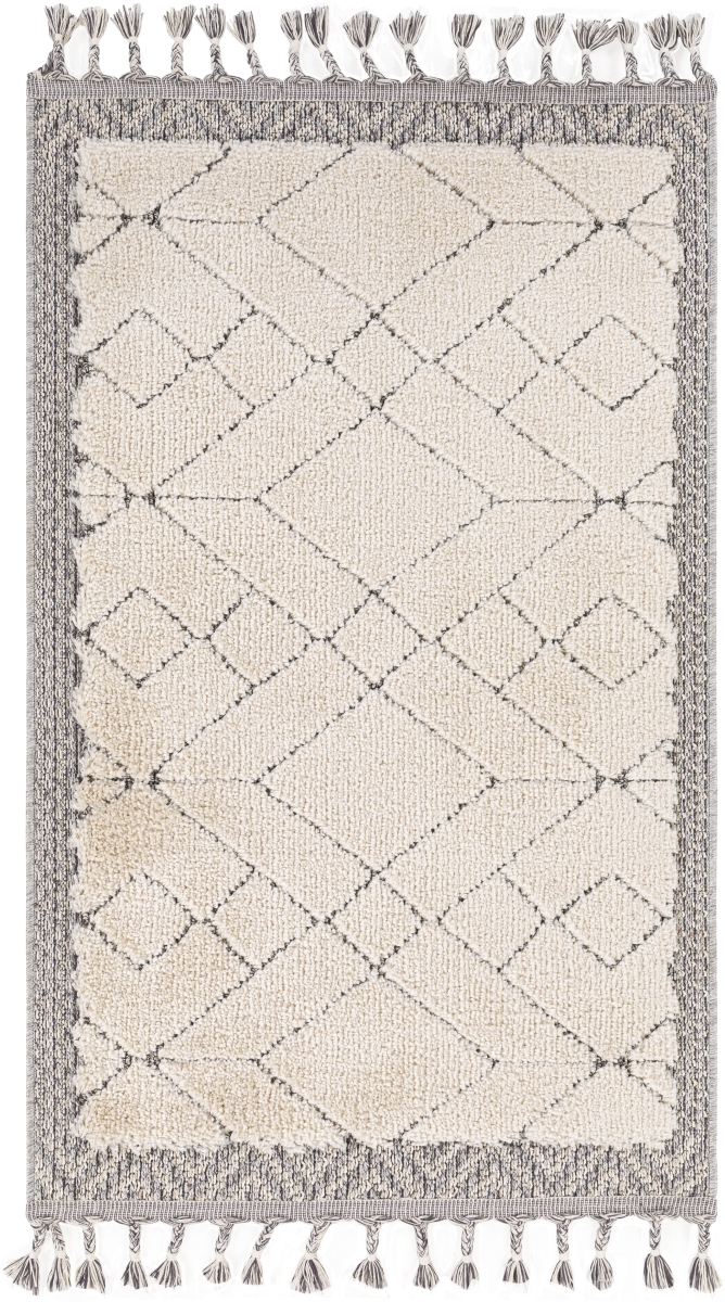 SUS2305-4257 4 ft. 2 in. x 5 ft. 7 in. Sousse Machine Woven Rectangle Rug - Multi Color