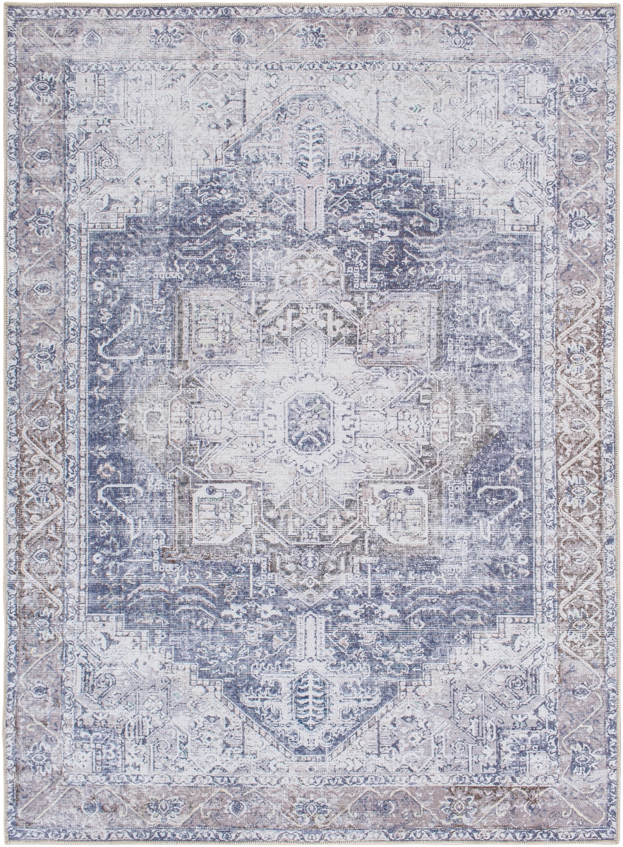 AML2360-710102 7 ft. 10 in. x 10 ft. 2 in. Amelie AML-2360 Rectangle Area Rug