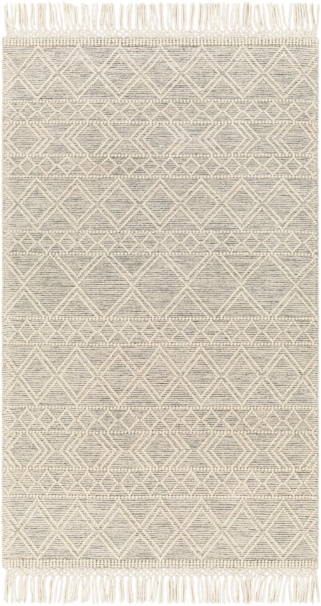 HMG2303-25 2 x 5 ft. Hemingway Hand Woven Rectangle Area Rug, Light Grey