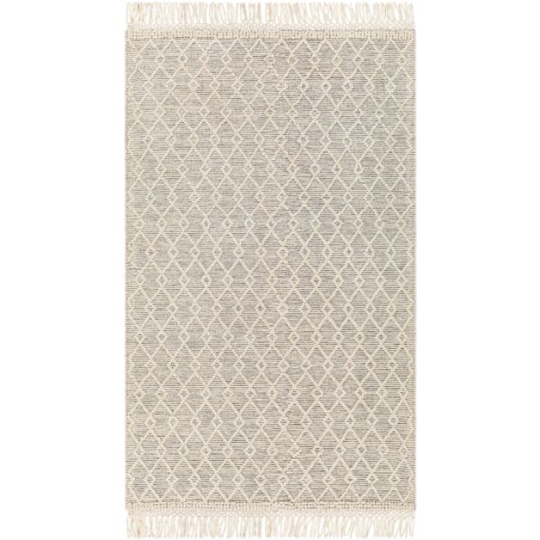 HMG2304-58 5 x 8 ft. Hemingway Hand Woven Rectangle Area Rug, Multi Color