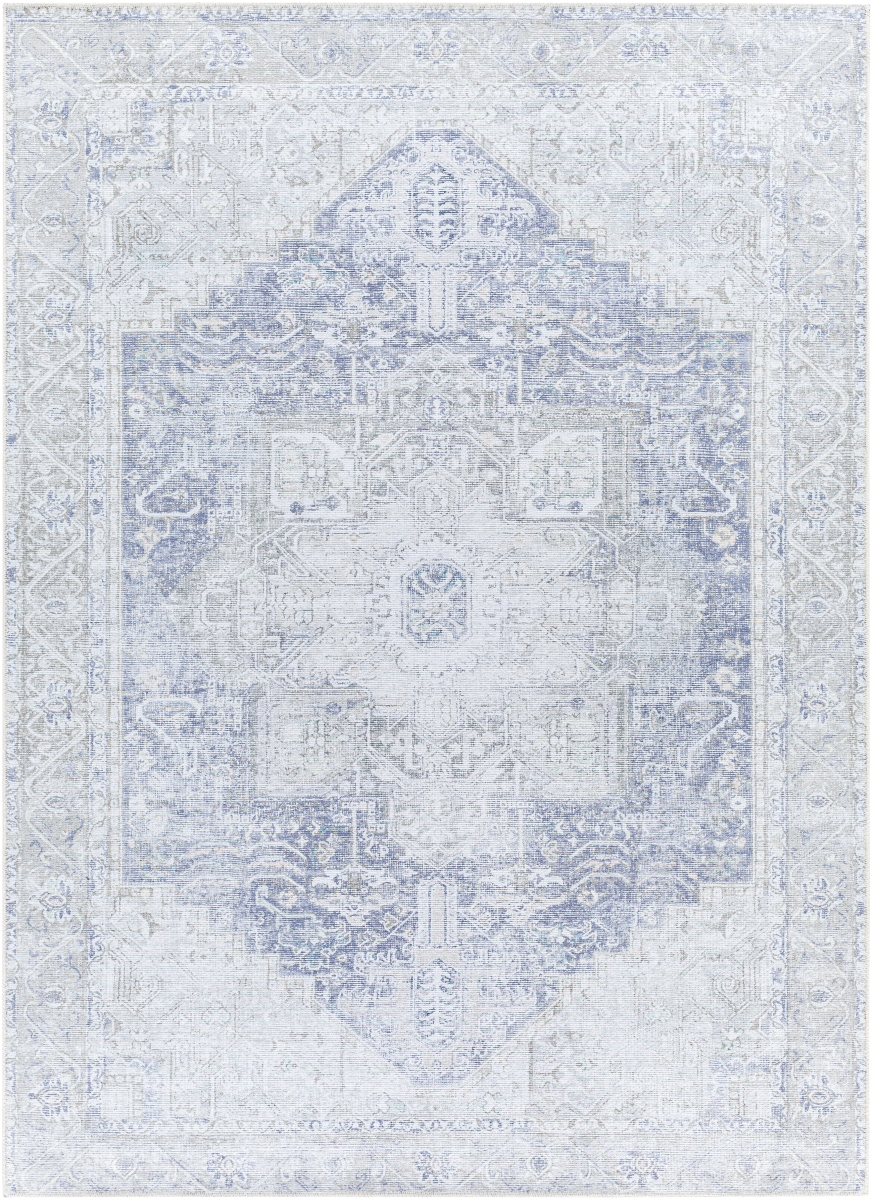 AML2363-710102 7 ft. 10 in. x 10 ft. 2 in. Amelie AML-2363 Rectangle Area Rug