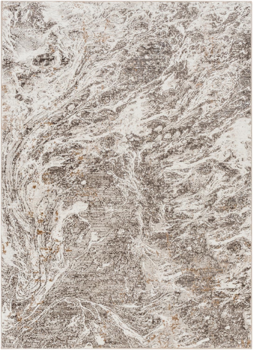AGP2300-46 4 x 6 ft. Allegro Plus Machine Woven Rectangle Area Rug, Light Grey