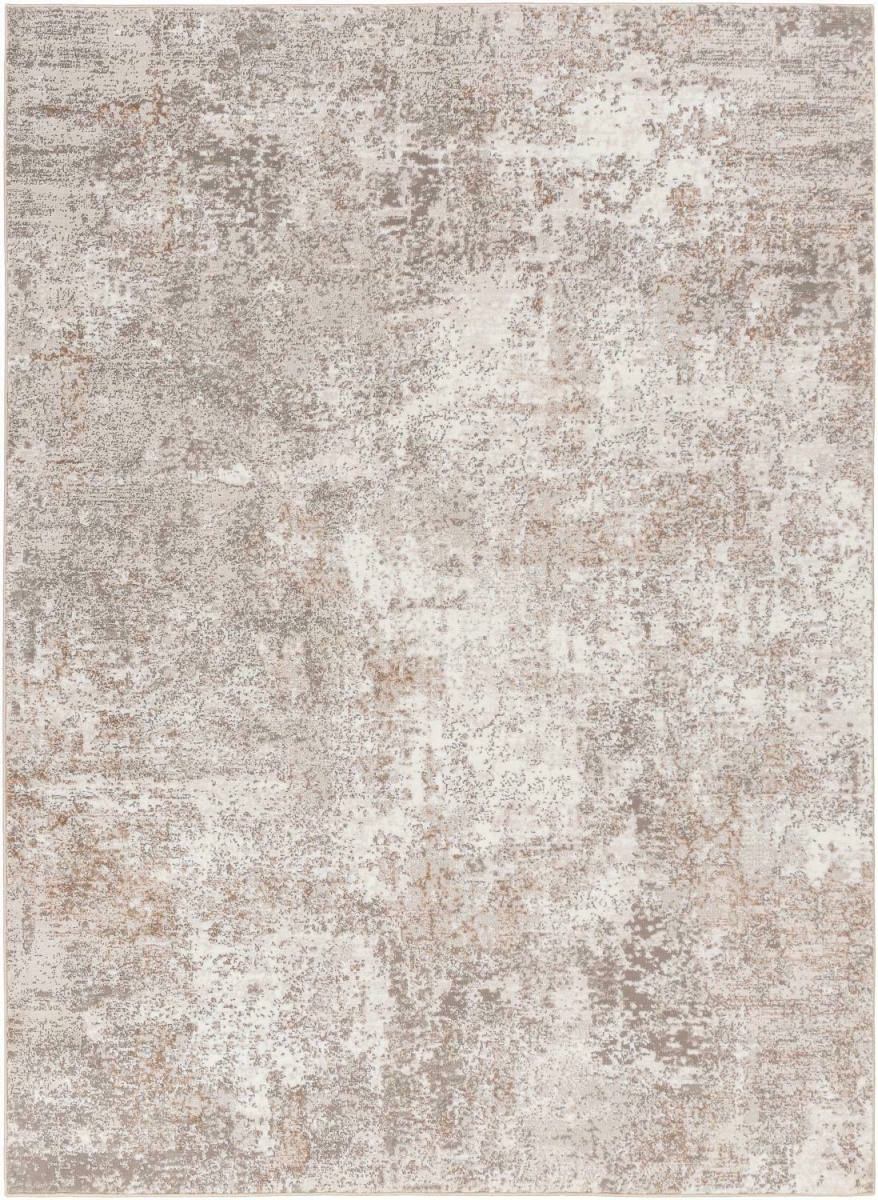 AGP2302-46 4 x 6 ft. Allegro Plus Machine Woven Rectangle Area Rug, Light Grey